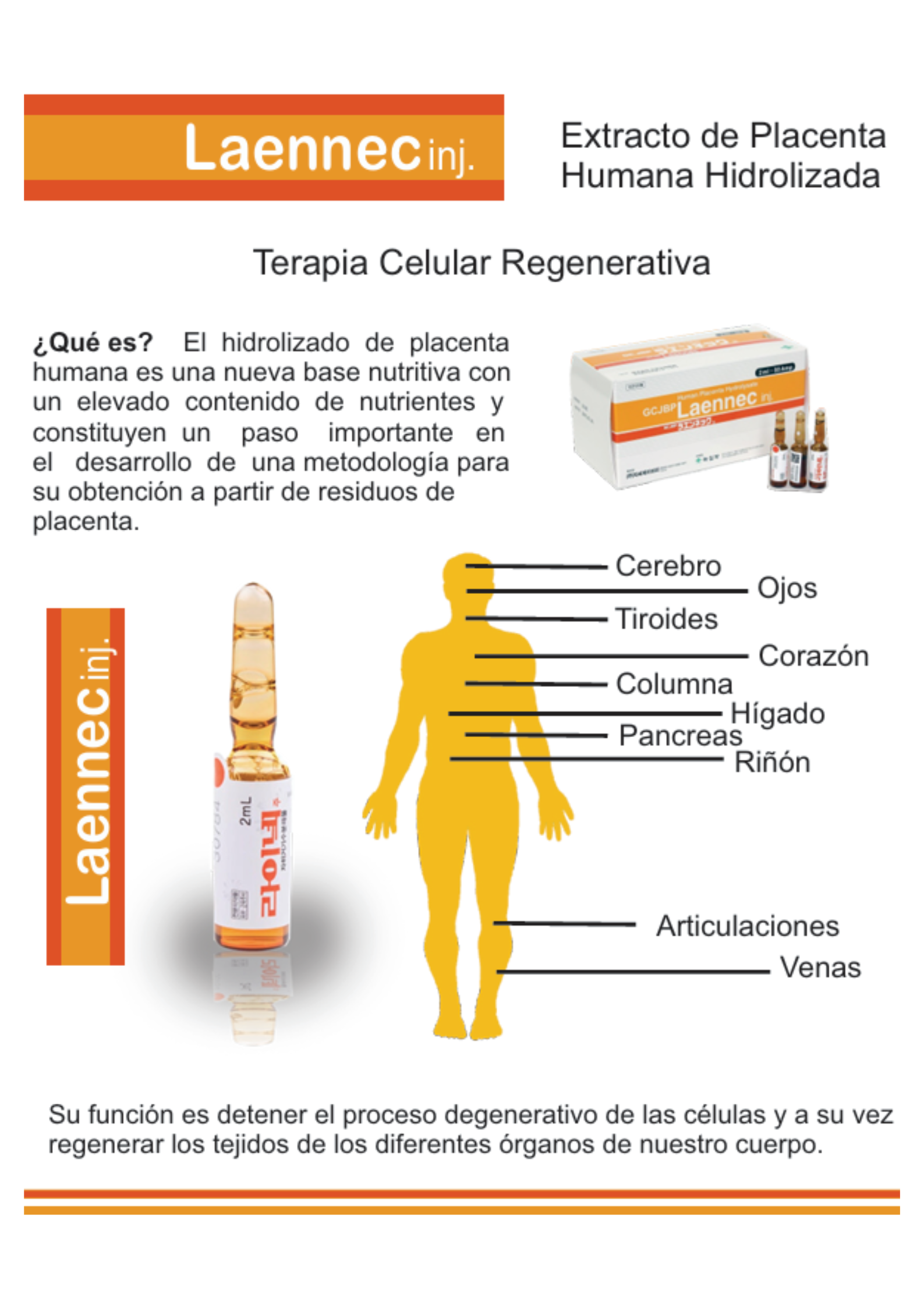 LAENNEC INJ.-1 vial - Terapia Regenerativa con Placenta Japonesa | Rejuvenecimiento Celular y Antienvejecimiento