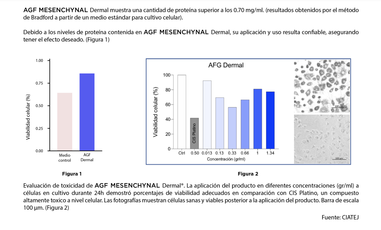 AGF Mesenchymal DERMAL