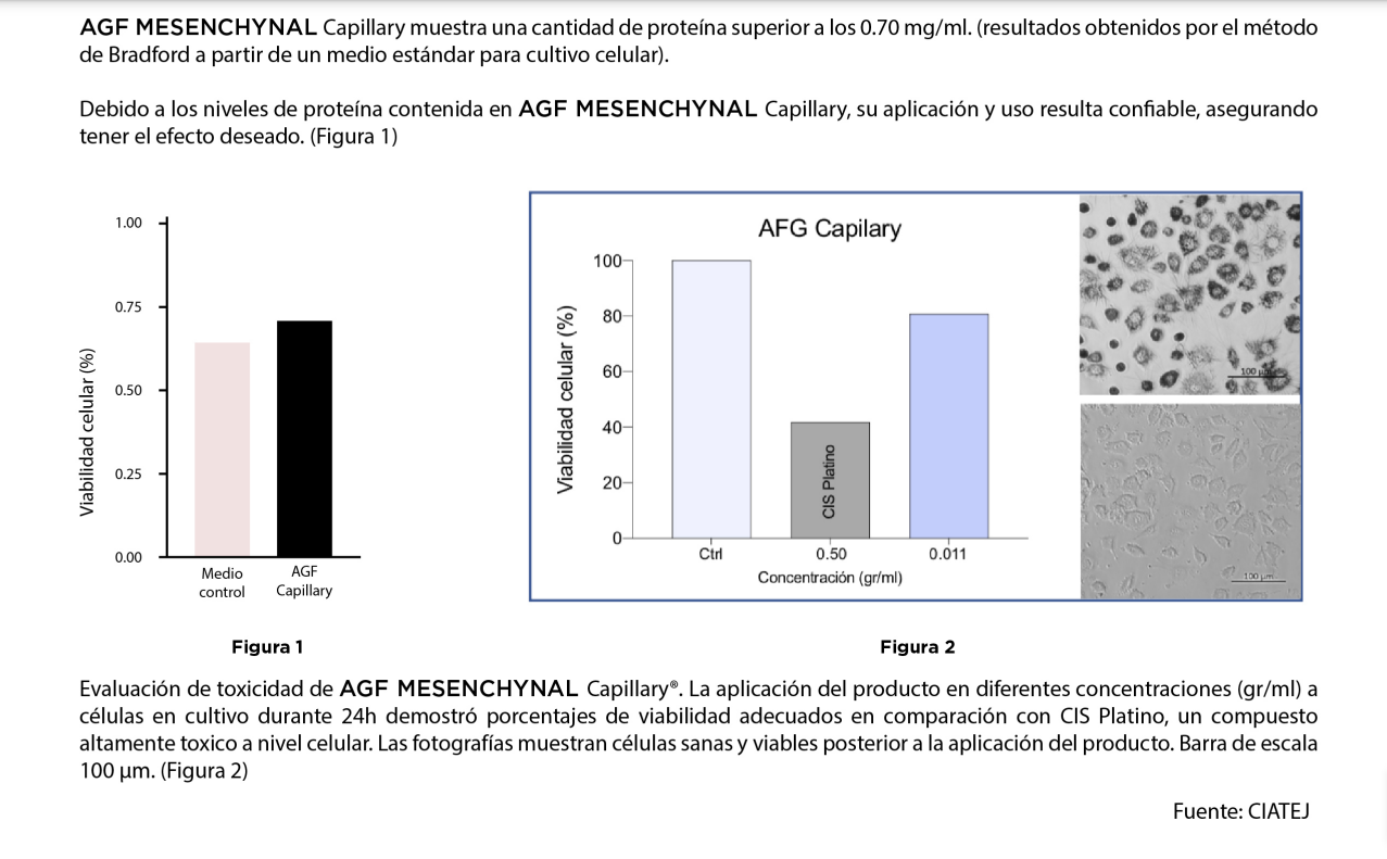 AGF Mesenchymal Capillary